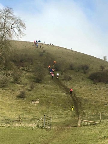 larmer tree marathon.jpg