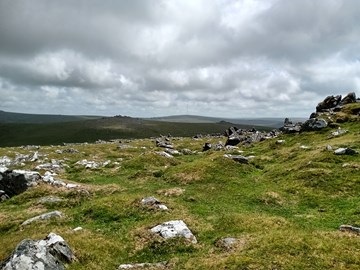 dartmoor.jpg
